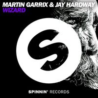 Martin Garrix & Jay Hardway - Wizard (Radio Edit)