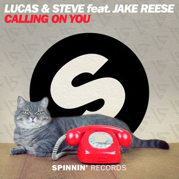 Lucas & Steve - Calling On You (feat. Jake Reese)