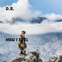 D.R. - How I Feel