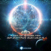 Etic - A Sea of Possibilities (Spectro Senses Remix)