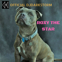 Official DJDarkstorm - Roxy the Star