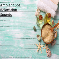 Relaxing Spa Music, Mindfulness Meditation Music Spa Maestro, Spa Relaxation - 21 Loopable Ambient Spa Relaxation Sounds