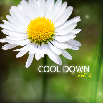 Various Artists - Cool Down, Vol. 2