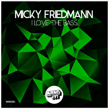 Micky Friedmann - I Love the Bass