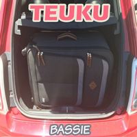 Teuku - Bassie