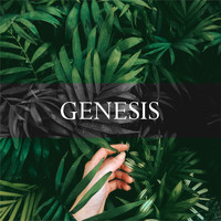 Kevin Aleksander - Genesis
