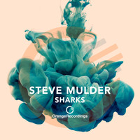 Steve Mulder - Shark