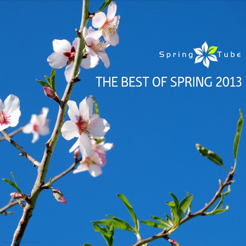 Various Artists - The Best of Spring 2013