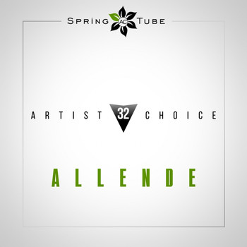 Various Artists - Artist Choice 032. Allende