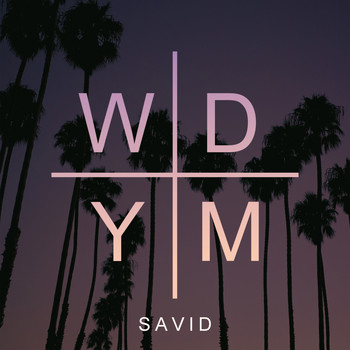 Savid - WDYM