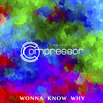 Various Artists - Wonna Know Why