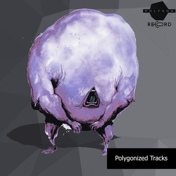 Various Artists - Polygonized Tracks