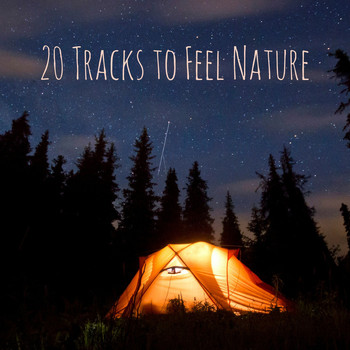 Nature Sounds - 20 Tracks to Feel Nature