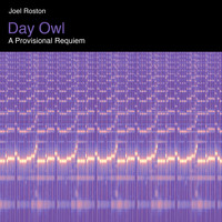 Joel Roston - Day Owl