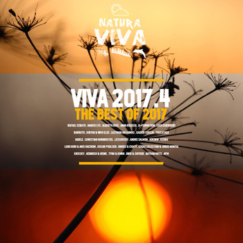 Various Artists - Viva 2017.4
