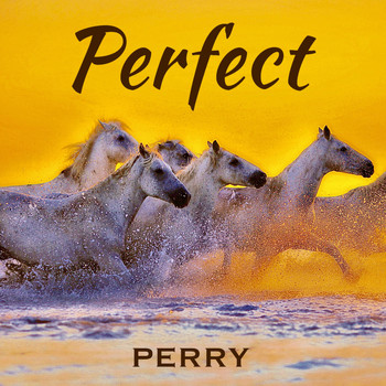Perry - Perfect