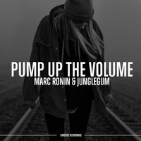 Marc Ronin, Junglegum - Pump up the Volume