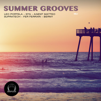 Various Artists - Summer Grooves, Vol. 1