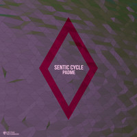Sentic Cycle - Padme