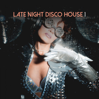 Various Artists - Late Night Disco House, Vol. 1