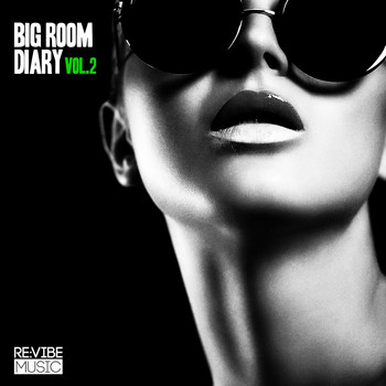Various Artists - Big Room Diary, Vol. 2