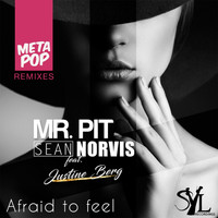 Mr. Pit - Afraid to feel: MetaPop Remixes