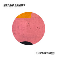 Sordid Soundz - Diskotek / Want to Be