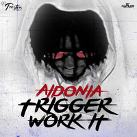 Aidonia - Trigger Work It - Single (Explicit)