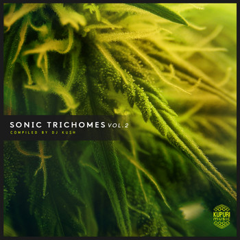Various Artists - Sonic Trichomes, Vol. 2