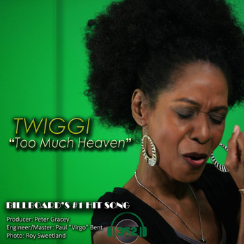 Twiggi - Too Much Heaven