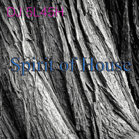DJ 5L45H - Spirit of House