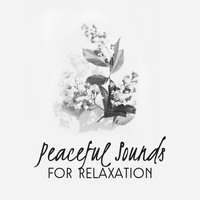 Deep Relax Music World - Peaceful Sounds for Relaxation
