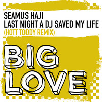 Seamus Haji - Last Night A DJ Saved My Life
