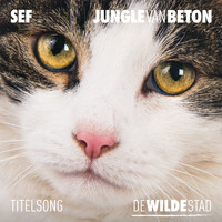 Sef - Jungle Van Beton (Titelsong "De Wilde Stad")