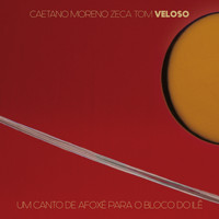 Caetano Veloso - Um Canto De Afoxé Para O Bloco Do Ilê (Ao Vivo)