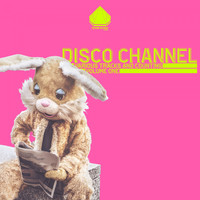 Disco Channel - Various Tracks and Counting, Vol. 1