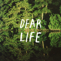 The Hundredth Anniversary - Dear Life