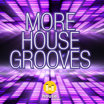 Various Artists - More House Grooves