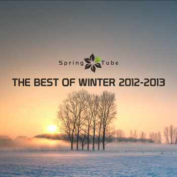 Various Artists - The Best of Winter 2012-2013
