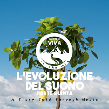 Various Artists - L'Evoluzione Del Suono (Parte Quinta)