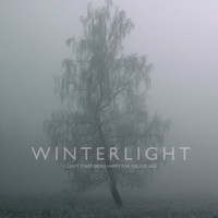 Winterlight - I Can't Start Being Happy for Feeling Sad