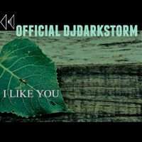 Official DJDarkstorm - I like you