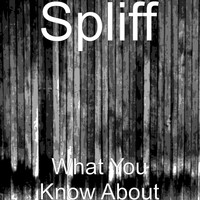 Spliff - What You Know About (Explicit)