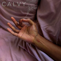 CALVY - Like a Jay