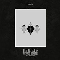 Ricardo Ilculese - Bee Object EP
