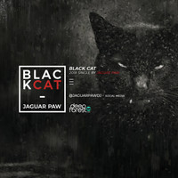 Jaguar Paw - Black Cat
