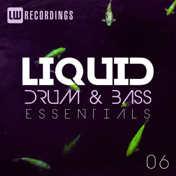 Various Artists - Liquid Drum & Bass Essentials, Vol. 06