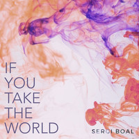 Sergi Boal - If You Take the World