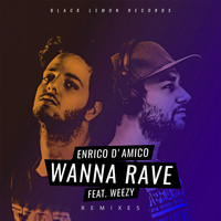 Enrico D'Amico - Wanna Rave (Remixes)