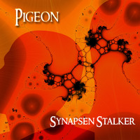 Pigeon - Synapsen Stalker
